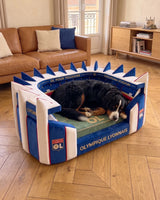 Lit Stade pour Chien – Wouf Foot