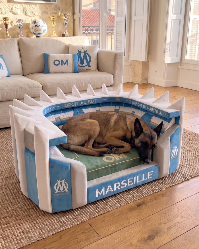 Lit Stade pour Chien – Wouf Foot